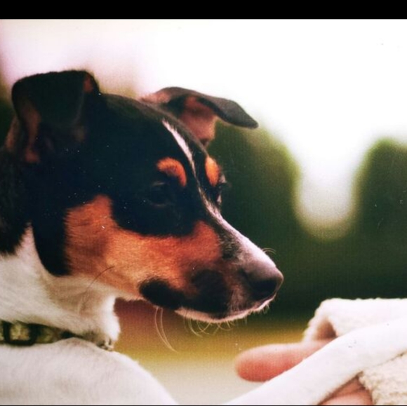 Meet your Posher, Alisha - Picture 5 of 6